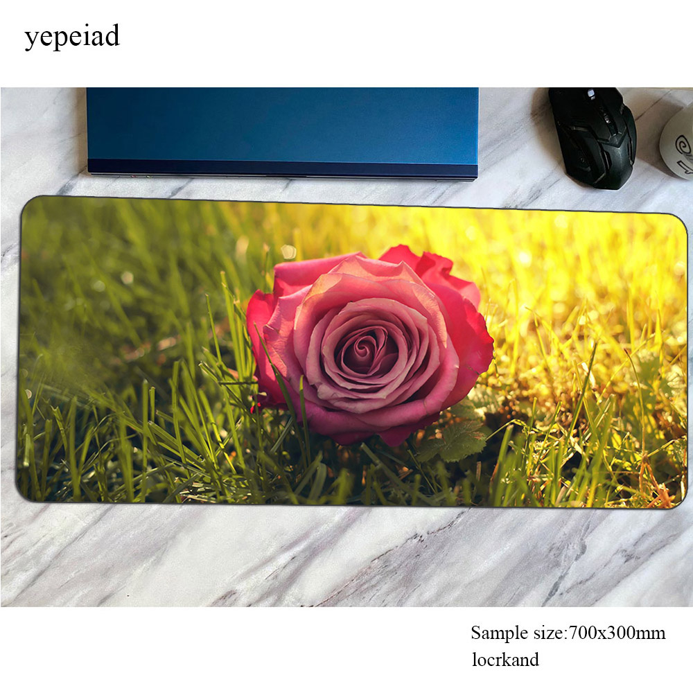 Rose Mauspad 900x400mm Gaming  – Laptop Mouse Bewertung und Preis